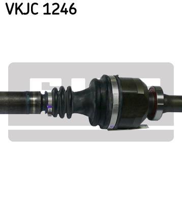 Cardan SKF VKJC 1246